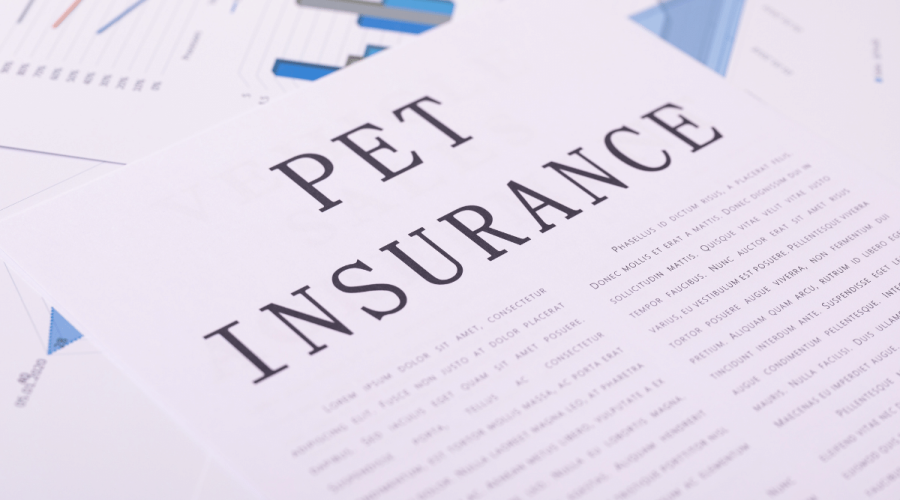 Pet Insurance For Your Dog