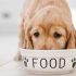 Foods to Avoid Feeding Your Dog